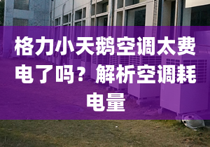 格力小天鵝空調(diào)太費電了嗎？解析空調(diào)耗電量