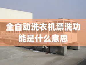 全自動(dòng)洗衣機(jī)漂洗功能是什么意思