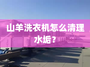 山羊洗衣機(jī)怎么清理水垢？