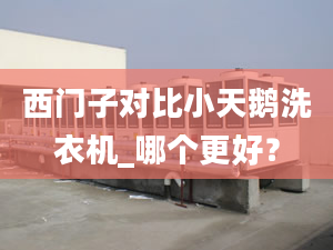 西門(mén)子對(duì)比小天鵝洗衣機(jī)_哪個(gè)更好？