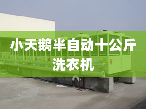 小天鵝半自動(dòng)十公斤洗衣機(jī)