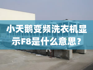 小天鵝變頻洗衣機(jī)顯示F8是什么意思？