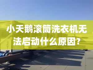 小天鵝滾筒洗衣機(jī)無法啟動什么原因？