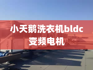 小天鵝洗衣機bldc變頻電機