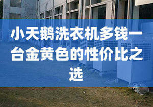 小天鵝洗衣機多錢一臺金黃色的性價比之選