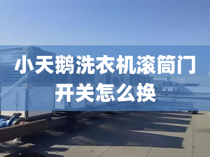 小天鵝洗衣機滾筒門開關(guān)怎么換