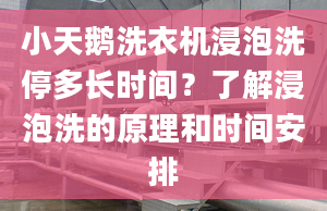 小天鵝洗衣機(jī)浸泡洗停多長(zhǎng)時(shí)間？了解浸泡洗的原理和時(shí)間安排