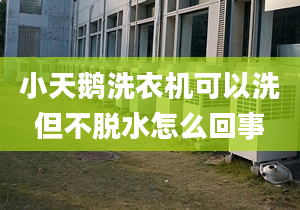 小天鵝洗衣機可以洗但不脫水怎么回事