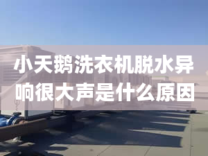 小天鵝洗衣機(jī)脫水異響很大聲是什么原因