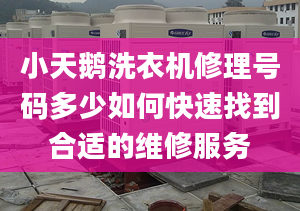 小天鵝洗衣機(jī)修理號(hào)碼多少如何快速找到合適的維修服務(wù)