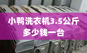 小鴨洗衣機3.5公斤多少錢一臺