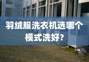 羽絨服洗衣機選哪個模式洗好？