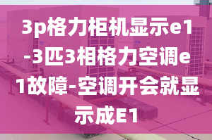 3p格力柜機(jī)顯示e1-3匹3相格力空調(diào)e1故障-空調(diào)開會就顯示成E1