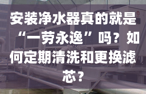 安裝凈水器真的就是“一勞永逸”嗎？如何定期清洗和更換濾芯？