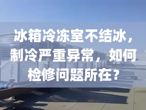 冰箱冷凍室不結(jié)冰，制冷嚴(yán)重異常，如何檢修問題所在？