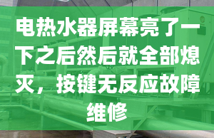 電熱水器屏幕亮了一下之后然后就全部熄滅，按鍵無反應(yīng)故障維修