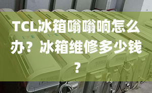 TCL冰箱嗡嗡響怎么辦？冰箱維修多少錢？