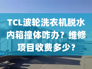 TCL波輪洗衣機脫水內(nèi)箱撞體咋辦？維修項目收費多少？