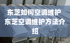 東芝如何空調維護 東芝空調維護方法介紹