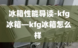 冰箱性能導(dǎo)讀-kfg冰箱—kfg冰箱怎么樣 