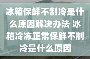 冰箱保鮮不制冷是什么原因解決辦法 冰箱冷凍正常保鮮不制冷是什么原因