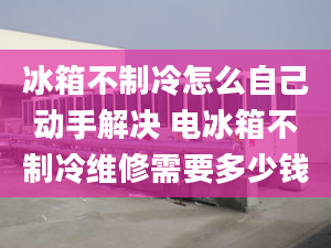 冰箱不制冷怎么自己動手解決 電冰箱不制冷維修需要多少錢