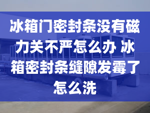 冰箱門密封條沒有磁力關(guān)不嚴怎么辦 冰箱密封條縫隙發(fā)霉了怎么洗