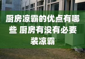 廚房涼霸的優(yōu)點(diǎn)有哪些 廚房有沒有必要裝涼霸