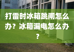 打雷時冰箱跳閘怎么辦？冰箱漏電怎么辦？