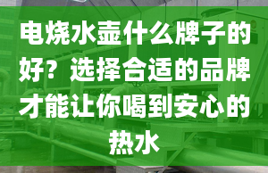 電燒水壺什么牌子的好？選擇合適的品牌才能讓你喝到安心的熱水