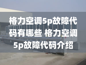 格力空調(diào)5p故障代碼有哪些 格力空調(diào)5p故障代碼介紹