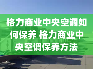 格力商業(yè)中央空調(diào)如何保養(yǎng) 格力商業(yè)中央空調(diào)保養(yǎng)方法