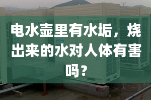 電水壺里有水垢，燒出來的水對人體有害嗎？