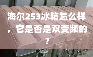 海爾253冰箱怎么樣，它是否是雙變頻的？